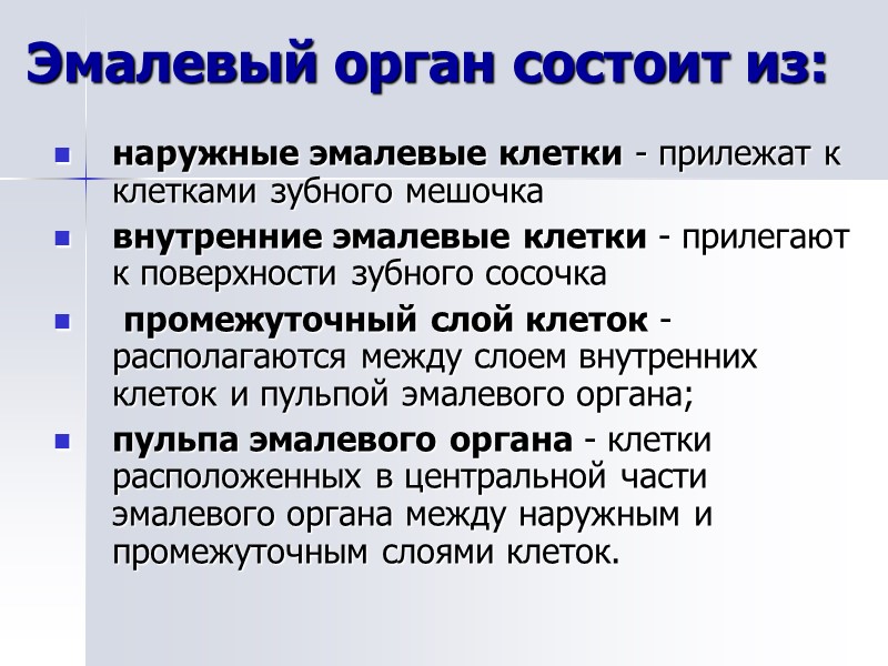 Эмалевый орган состоит из: наружные эмалевые клетки - прилежат к  клетками зубного мешочка